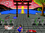 Play-karate-iktti
