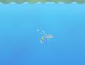 Gioco-nuoto-arte-con-uno-dei-delfini-dolphin-olympics-2