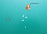Tir-sportiv-de-joc-peste-de-fotografiere