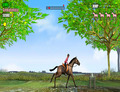 Jeu-d-equitation-horse-jumping
